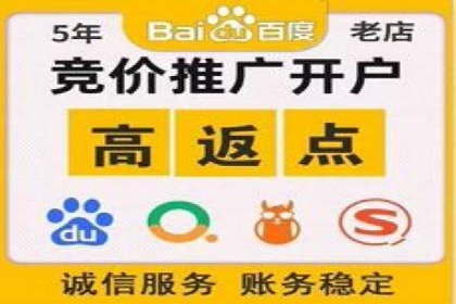 Sem优化公司案例：精准广告投放策略解析